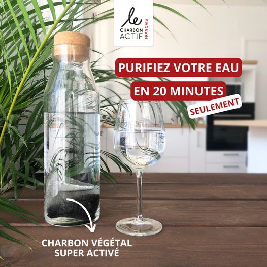 Lot de 2 filtres à eau au charbon végétal actif - Ladykheira Lab
